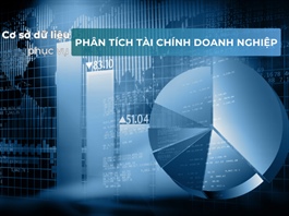 Cơ sở dữ liệu phục vụ phân tích tài chính doanh nghiệp
